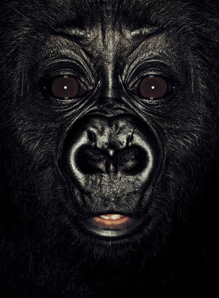 http://reho.st/preview/www.jamesmollison.com/images/Nikan.jpg