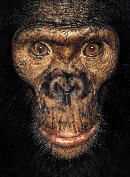 http://reho.st/preview/www.jamesmollison.com/images/Ominou.jpg