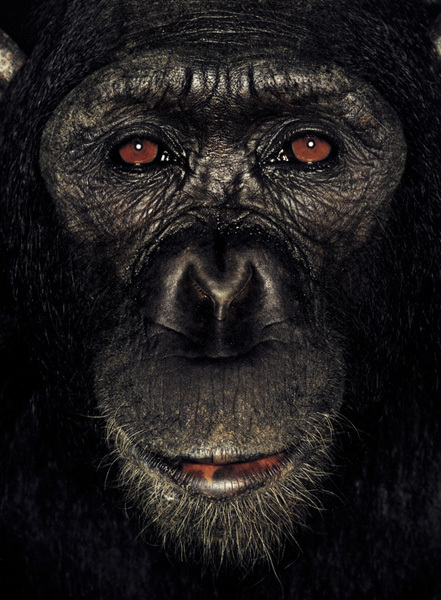 http://reho.st/preview/www.jamesmollison.com/images/Rambo.jpg