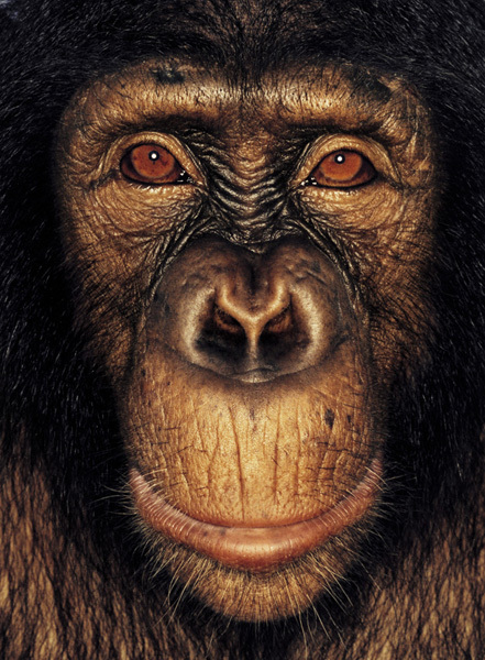 http://reho.st/preview/www.jamesmollison.com/images/Talila.jpg