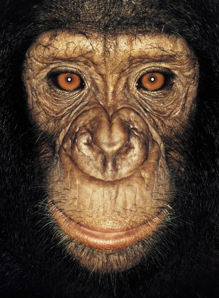 http://reho.st/preview/www.jamesmollison.com/images/Talliane.jpg