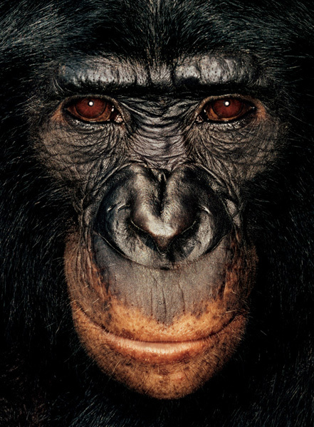 http://reho.st/preview/www.jamesmollison.com/images/Tatango.jpg