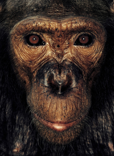 http://reho.st/preview/www.jamesmollison.com/images/Wendy.jpg