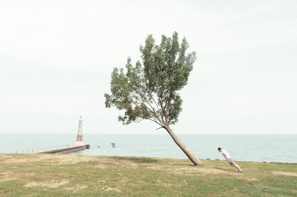 http://reho.st/preview/www.laboiteverte.fr/wp-content/uploads/2012/07/arbre-penche-01.jpg
