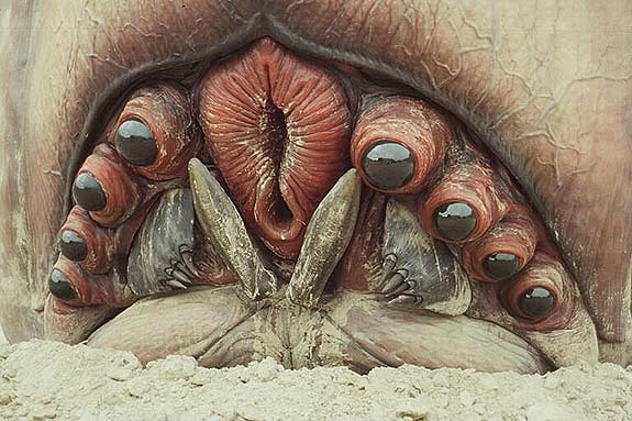 http://reho.st/preview/www.stampede-entertainment.com/monstermakers/a-bug-6-l.jpg