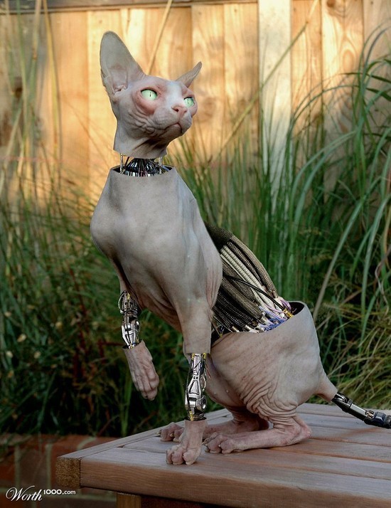 http://reho.st/preview/www.webdesigncore.com/wp-content/uploads/2010/09/animal/animalsmanipulation27.jpg