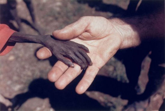 http://reho.st/preview/www.webdesigncore.com/wp-content/uploads/2010/10/poverty23.jpg