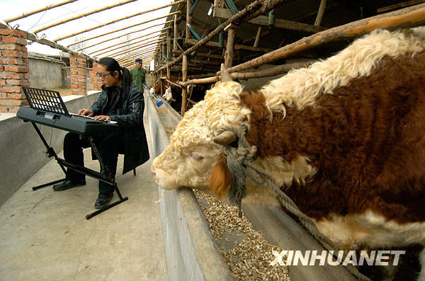 http://reho.st/preview/www.yn.xinhuanet.com/sms/2008-10/31/xin_44310053109132503130618.jpg