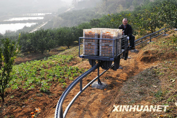 http://reho.st/preview/www.yn.xinhuanet.com/sms/2008-12/18/xin_4131205180950171227693.jpg