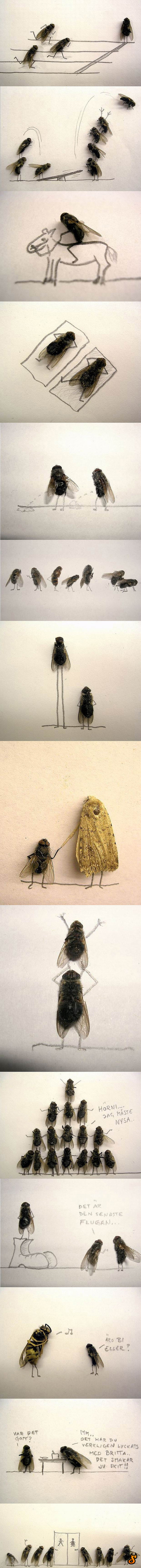 http://reho.st/preview/www1.skoftenmedia.com/images/picdump/109/20.jpg