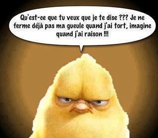 http://reho.st/self/262e30ed7ccad6671b119ee6f18a047b5277d0e4.jpg