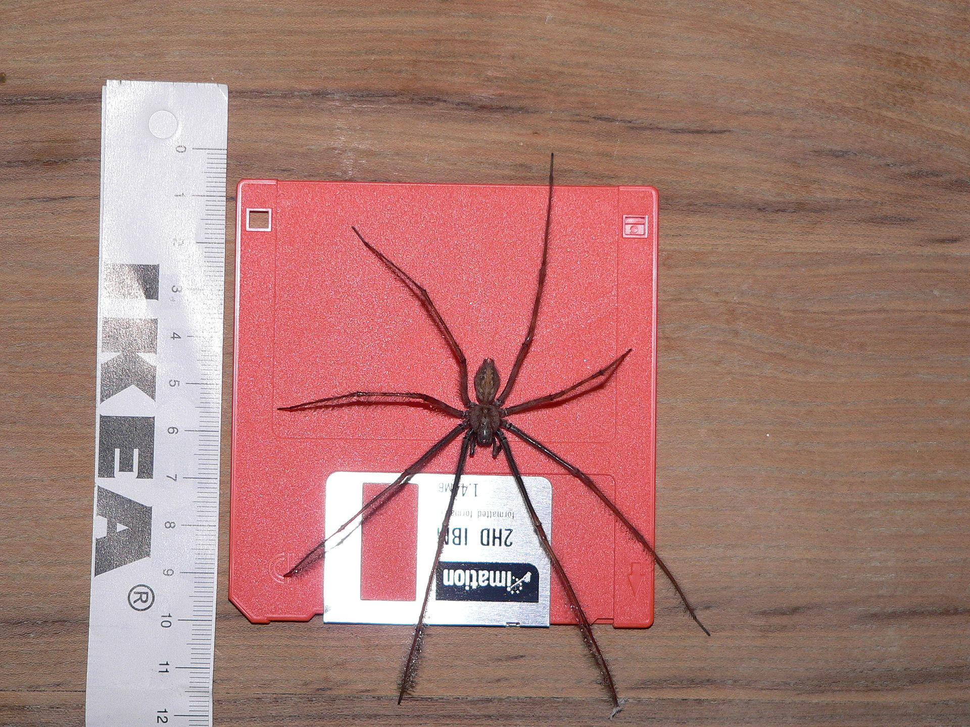 http://reho.st/self/c8de04d374c149bfcbaf1cb9eded9977217c1a1b.jpg