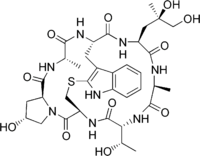 http://reho.st/self/eb5397c2ee7b51b4f76cb29b1374b480addcf427.png