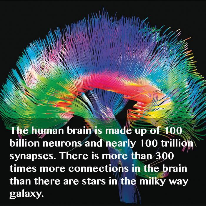 http://reho.st/thesciencelarder.weebly.com/uploads/1/3/6/4/13646557/6142007_orig.jpg