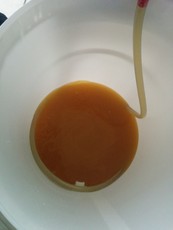 http://reho.st/thumb/dedibox.le-vert.net/pub/brewing/2014_05_doge_ipa/IMG_20140515_175751.jpg