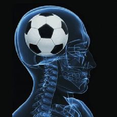 http://reho.st/thumb/www.familyaffairsandothermatters.com/wp-content/uploads/2011/12/footballbrain.jpg