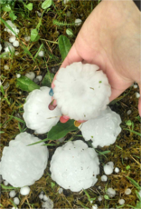 http://reho.st/thumb/www.keraunos.org/img/actualites/fil_infos/2014/juin/orages-8-juin-2014-supercellules-nord-ile-de-france-centre-poitou-aquitaine-grele-foudre-grele-2.png