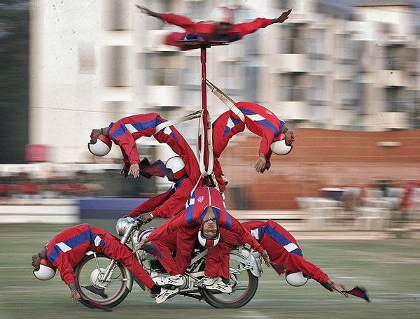 http://reho.st/tuxboard1.free.fr/images/images-insolite-semaine/49031153.jpg