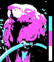 http://reho.st/upload.wikimedia.org/wikipedia/commons/2/27/Screen_color_test_CGA_4colors_Mode4_Palette1_HighIntensity.png