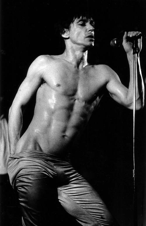 http://reho.st/userserve-ak.last.fm/serve/500/33308455/Iggy+Pop+iggy3.jpg