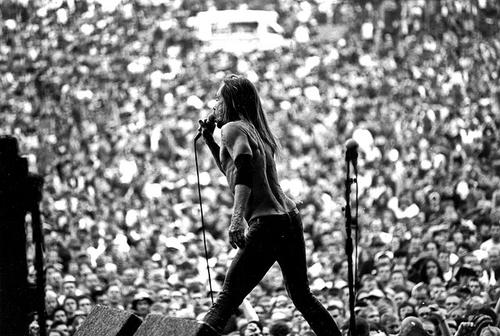 http://reho.st/userserve-ak.last.fm/serve/500/49931431/Iggy+Pop+22.jpg