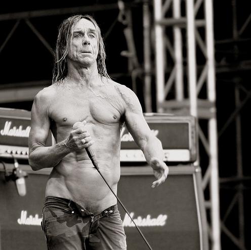 http://reho.st/userserve-ak.last.fm/serve/_/8265985/Iggy+Pop+4.jpg