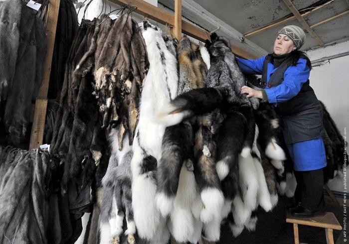 http://reho.st/visboo.com/img/new//people_want_their_fur_08.jpg
