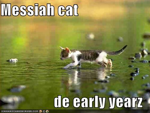 http://reho.st/whyevolutionistrue.files.wordpress.com/2011/07/funny-pictures-messiah-kitten-water-walking.jpg