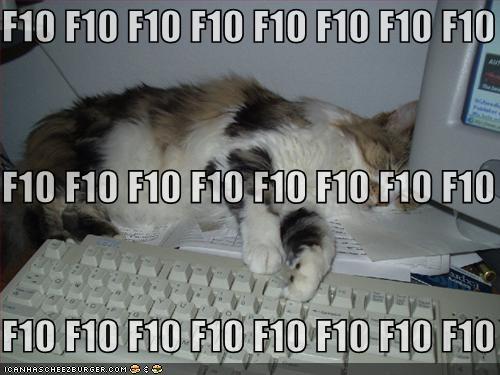 http://reho.st/www.1075koolfm.com/Files/Images/funny-pictures-cat-sleeping-f10-keyboard.jpg