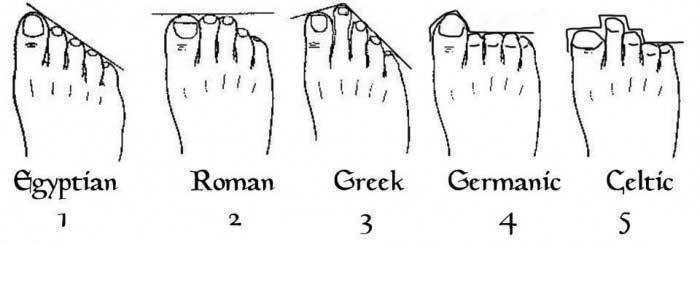 http://reho.st/www.chaussures35.fr/modules/psblog/uploads/1367491062.jpg
