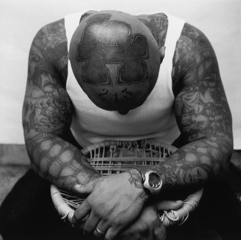 http://reho.st/www.creabar.com/photo/Tatouage/1wbfck7s.jpg