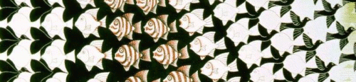 http://reho.st/www.cs.cmu.edu/~rys/media/escher_animation.gif