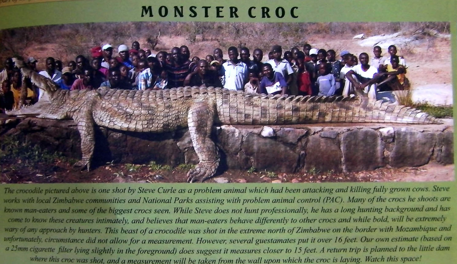 http://reho.st/www.fohguild.org/forums/attachments/screenshots/158469d1291709475-funny-strange-random-pics-monstercroc.jpg
