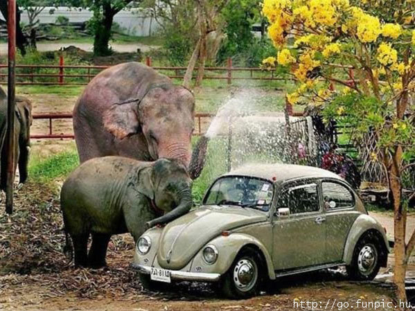 http://reho.st/www.funpic.hu/files/pics/00032/00032972.jpg