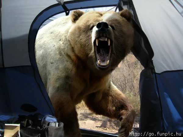 http://reho.st/www.funpic.hu/files/pics/00034/00034941.jpg