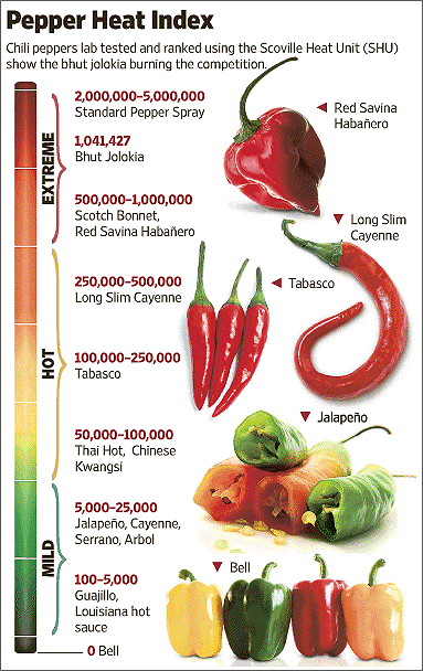 http://reho.st/www.ghostpeppers.com/images/ghostpepperhistory.jpg