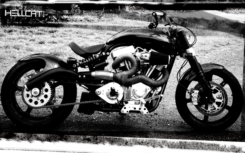 http://reho.st/www.izipik.com/images/20081116/n9vvm5l7qmdvidwl69-Hellcat-sloss-Lrg.jpg