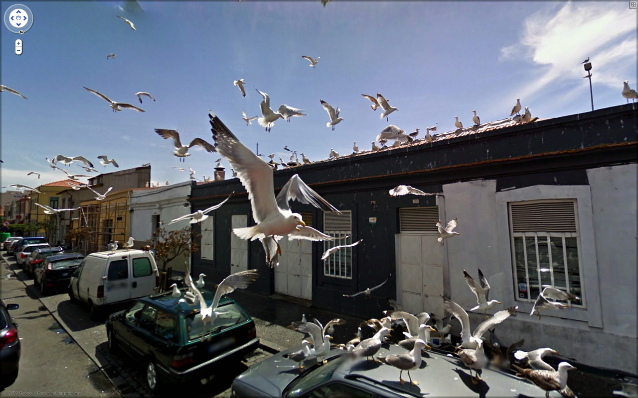 http://reho.st/www.laboiteverte.fr/wp-content/uploads/2010/11/best-of-meilleur-street-view-01.jpg