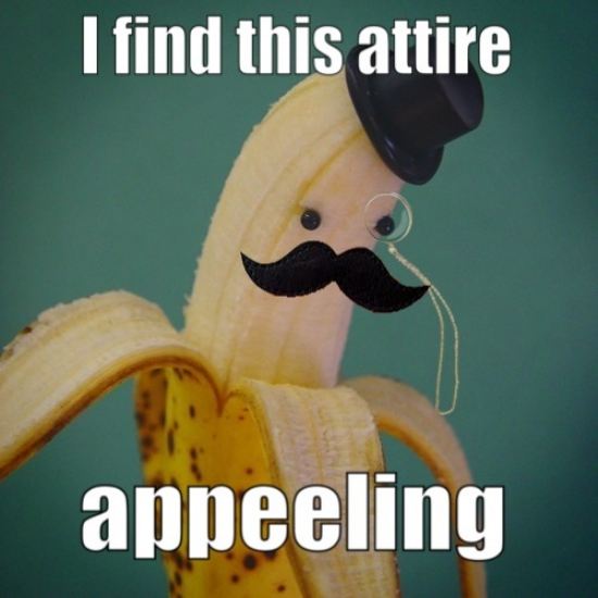 http://reho.st/www.lolpix.com/_pics/Funny_Pictures_401/Funny_Pictures_40117.jpg