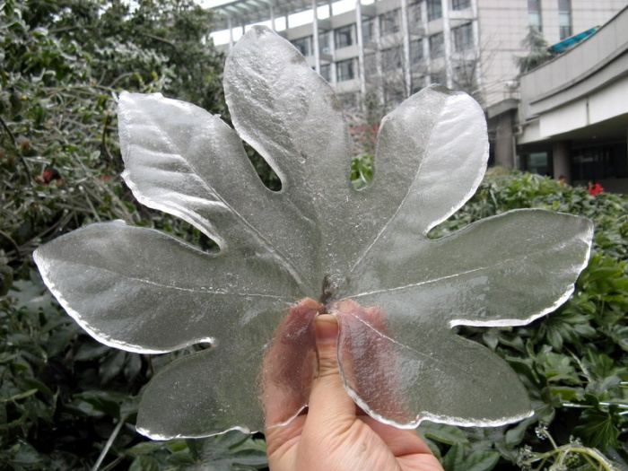 http://reho.st/www.megaportail.com/images/1a/pluie_chine/pluie002.jpg