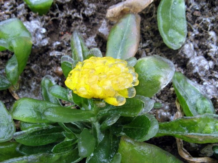 http://reho.st/www.megaportail.com/images/1a/pluie_chine/pluie004.jpg