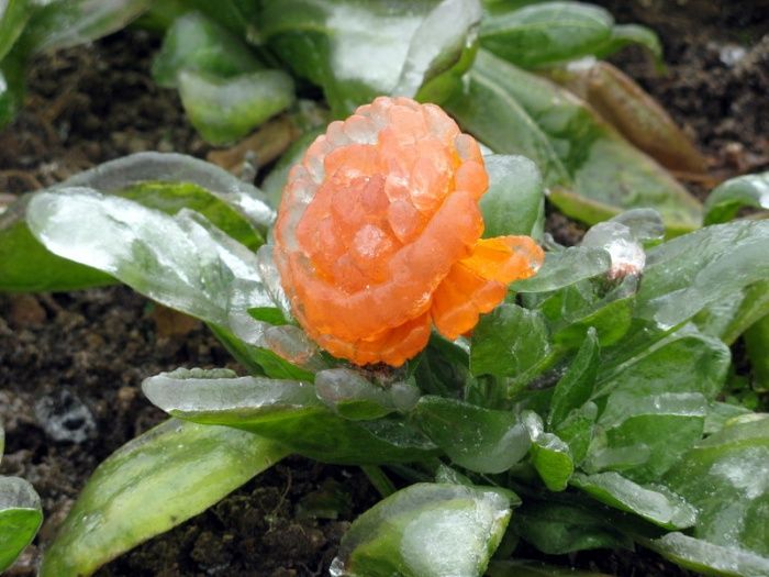 http://reho.st/www.megaportail.com/images/1a/pluie_chine/pluie005.jpg