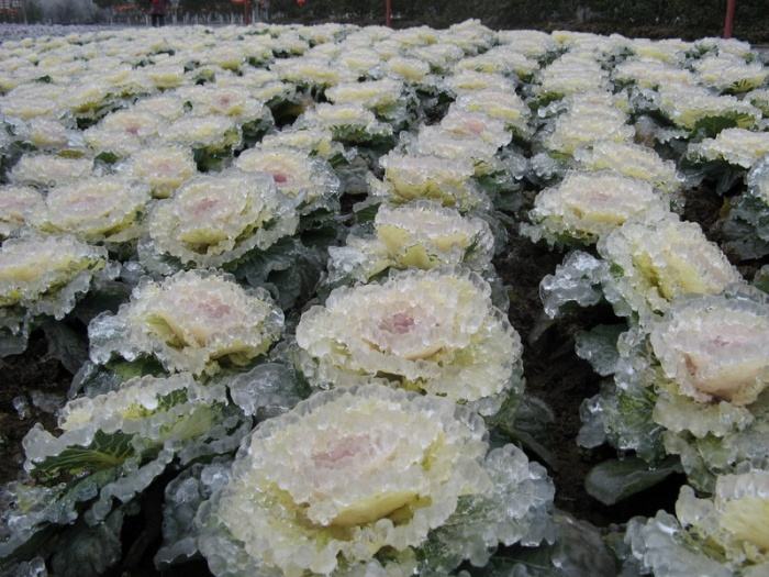 http://reho.st/www.megaportail.com/images/1a/pluie_chine/pluie006.jpg