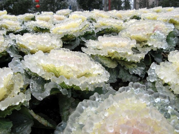 http://reho.st/www.megaportail.com/images/1a/pluie_chine/pluie007.jpg