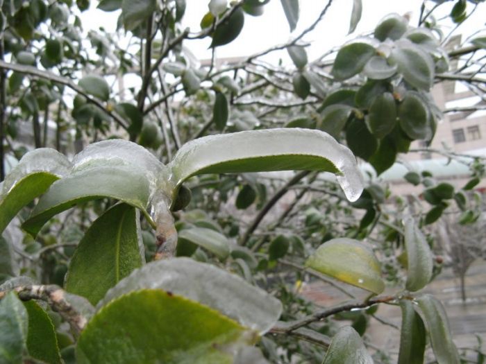 http://reho.st/www.megaportail.com/images/1a/pluie_chine/pluie008.jpg
