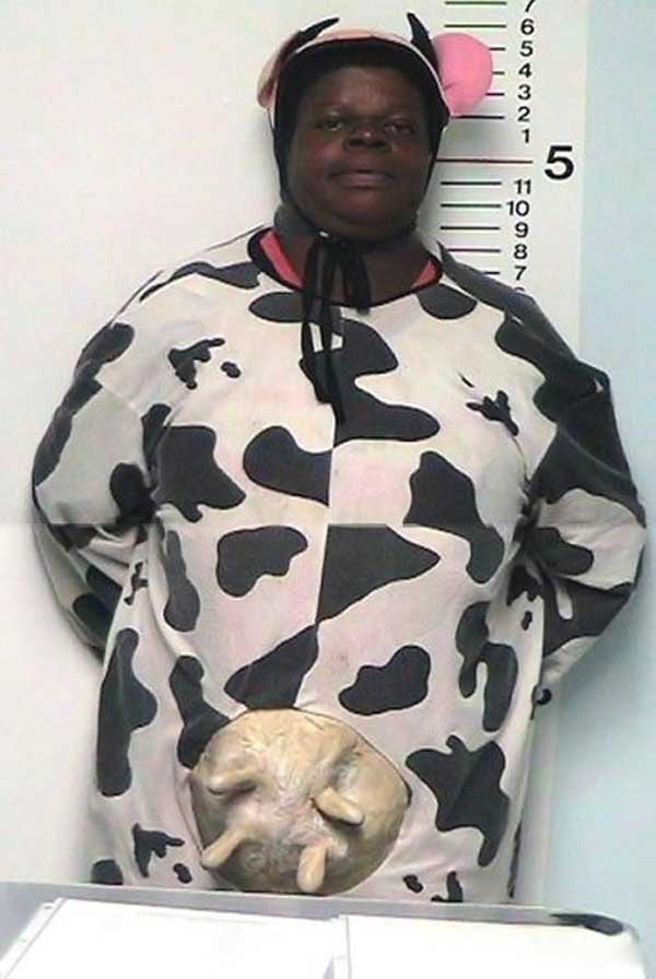 http://reho.st/www.megaportail.com/images/3a/divers/vache2.jpg