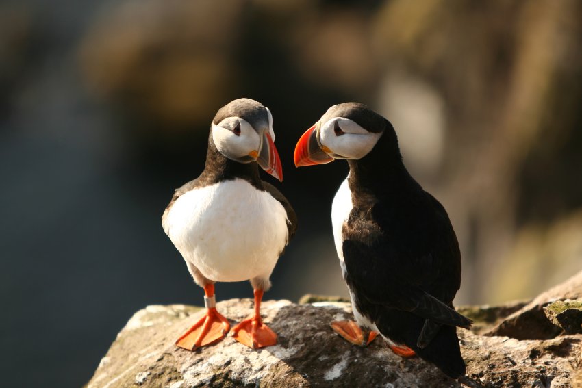 http://reho.st/www.merian.de/images/image-143561-me_gallery-lmzs.jpg