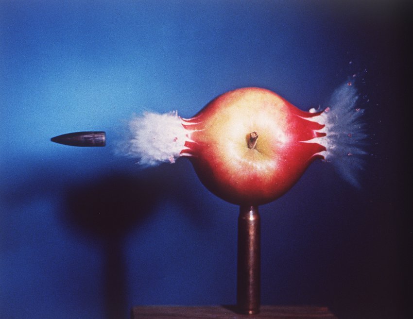 http://reho.st/www.spiegel.de/images/image-146879-galleryV9-kkto.jpg