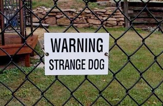 http://reho.st/www.thehighdefinite.com/wp-content/uploads/2010/10/warning-strange-dog.jpg