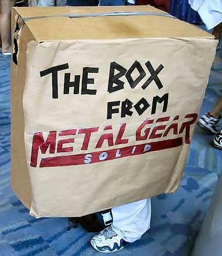 http://reho.st/www.theworst.ca/images/cosplay/box.jpg